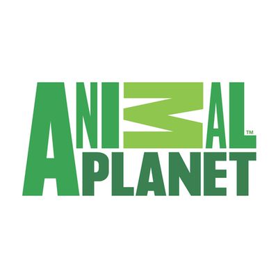 Animal Planet