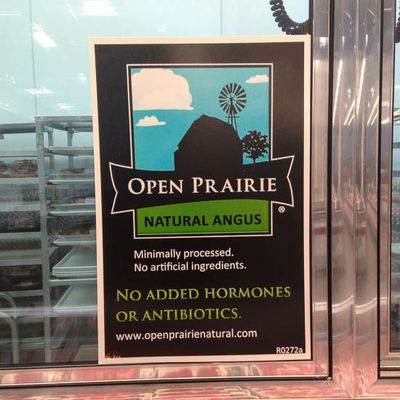 Open Prairie Natural Angus