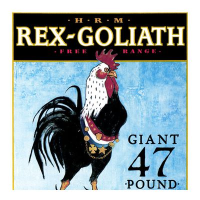 Rex-Goliath