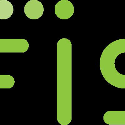 FIDELITY NATIONAL INFORMATION SERVICES, INC.