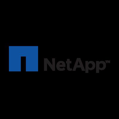 NETAPP INC
