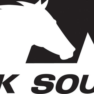 NORFOLK SOUTHERN CORP