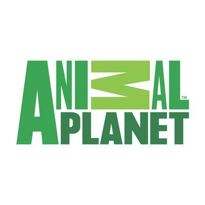 Animal Planet