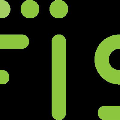 Fidelity National Information Services