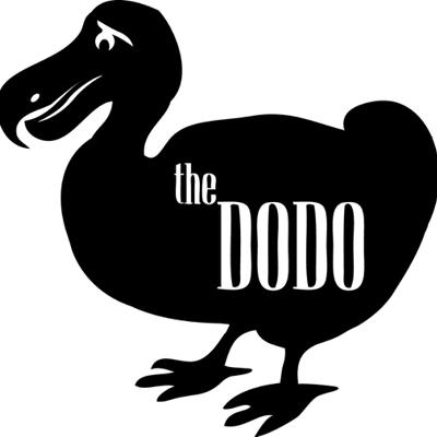 The Dodo